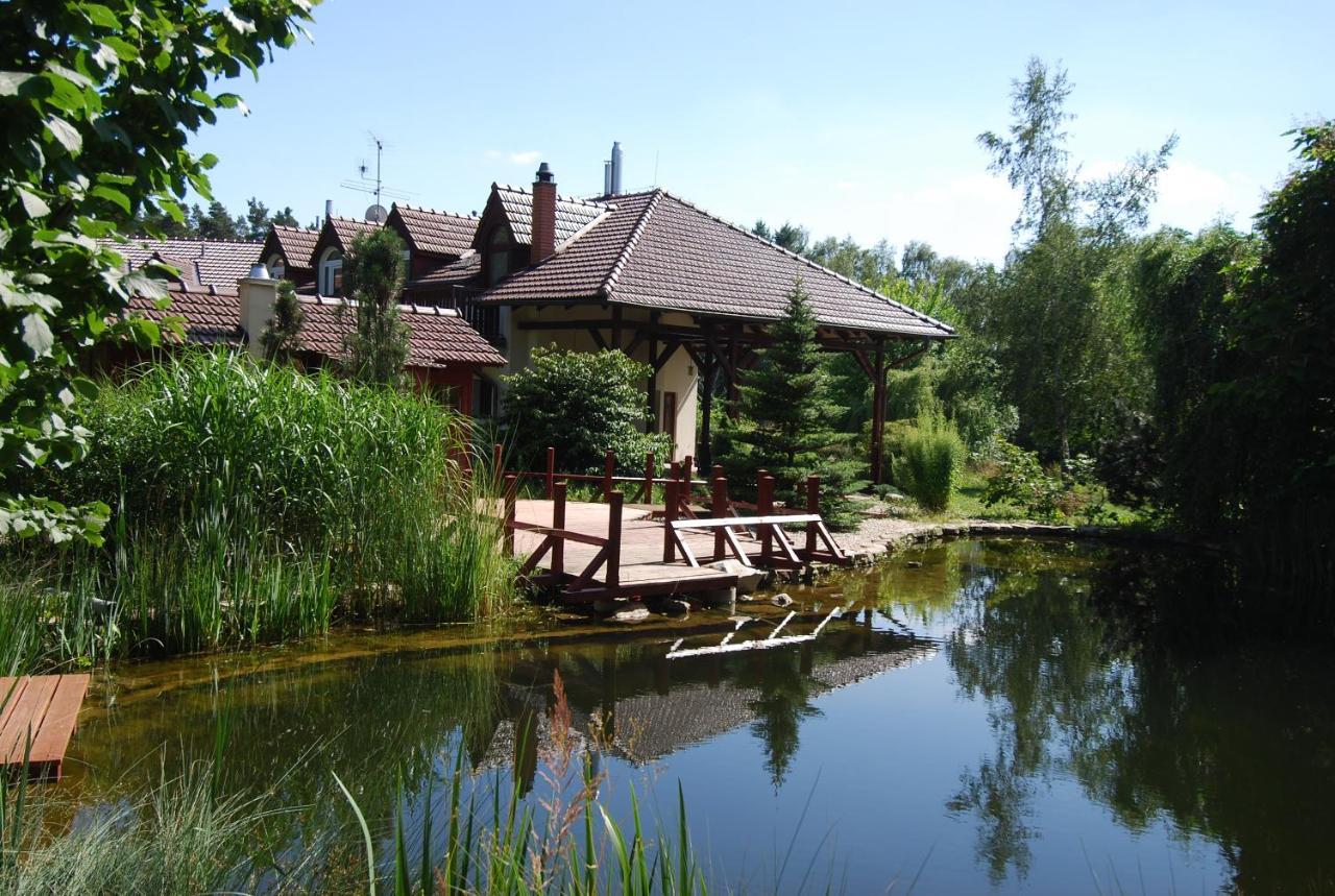 Ivanek Guest House Zvíkovské Podhradí Екстериор снимка