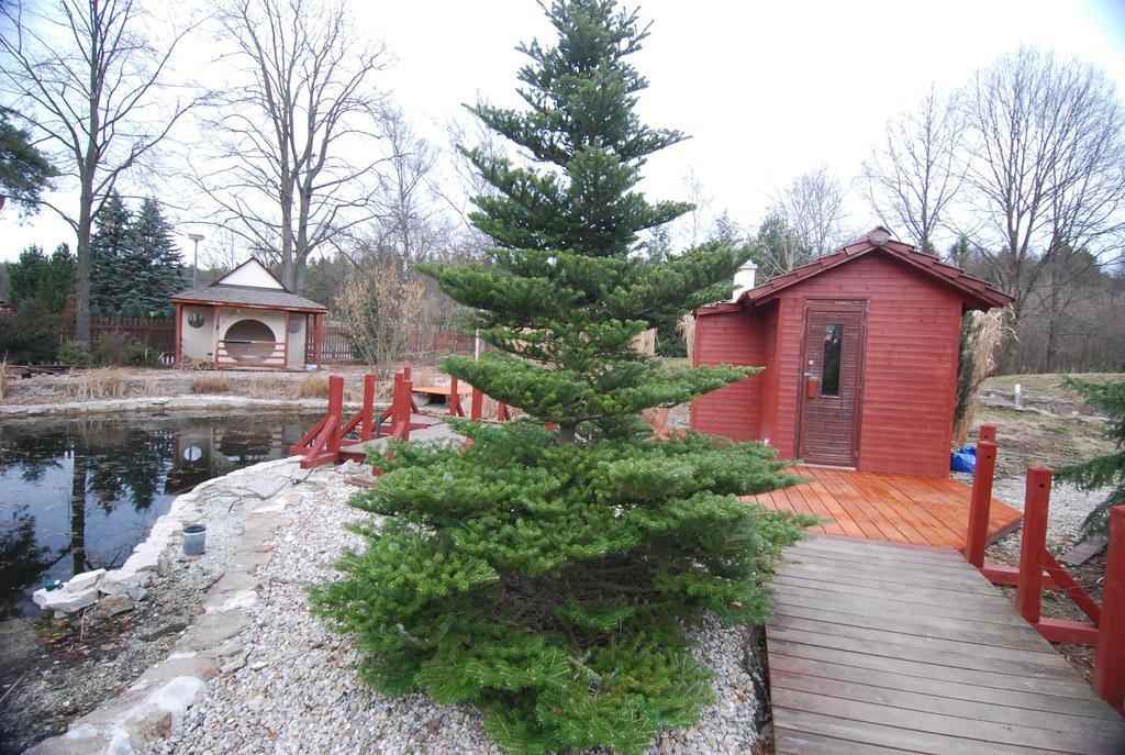 Ivanek Guest House Zvíkovské Podhradí Екстериор снимка