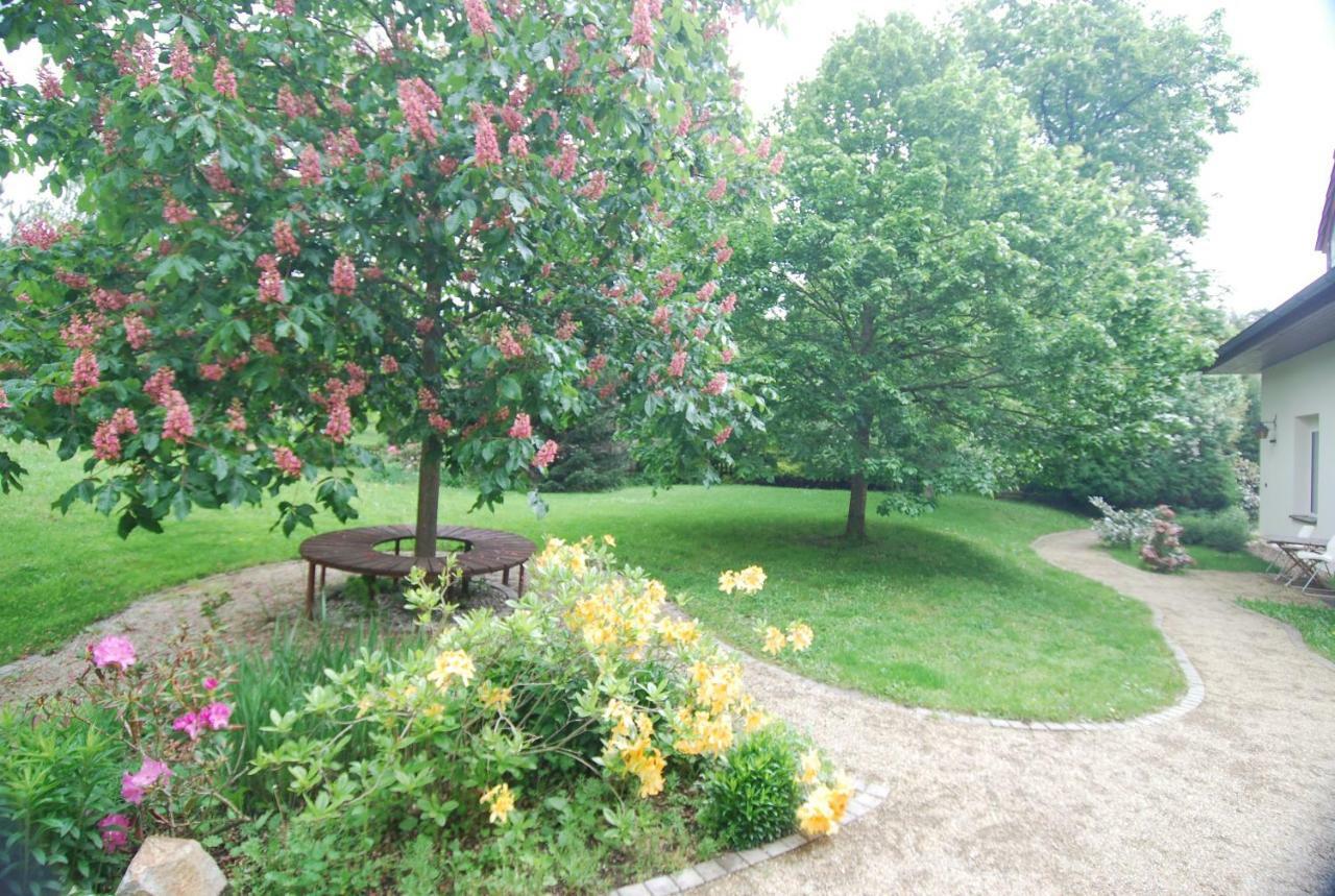 Ivanek Guest House Zvíkovské Podhradí Екстериор снимка